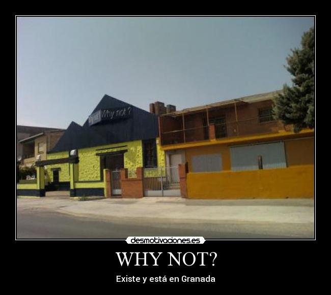 WHY NOT? - 