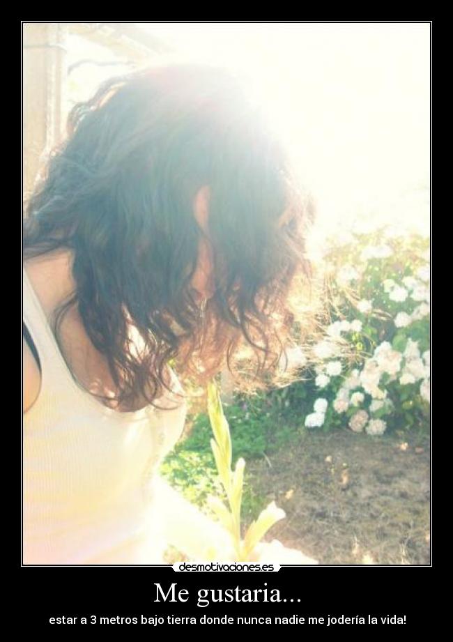 Me gustaria... - estar a 3 metros bajo tierra donde nunca nadie me jodería la vida!