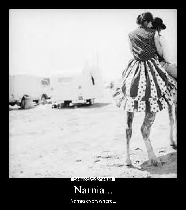 Narnia... - Narnia everywhere...