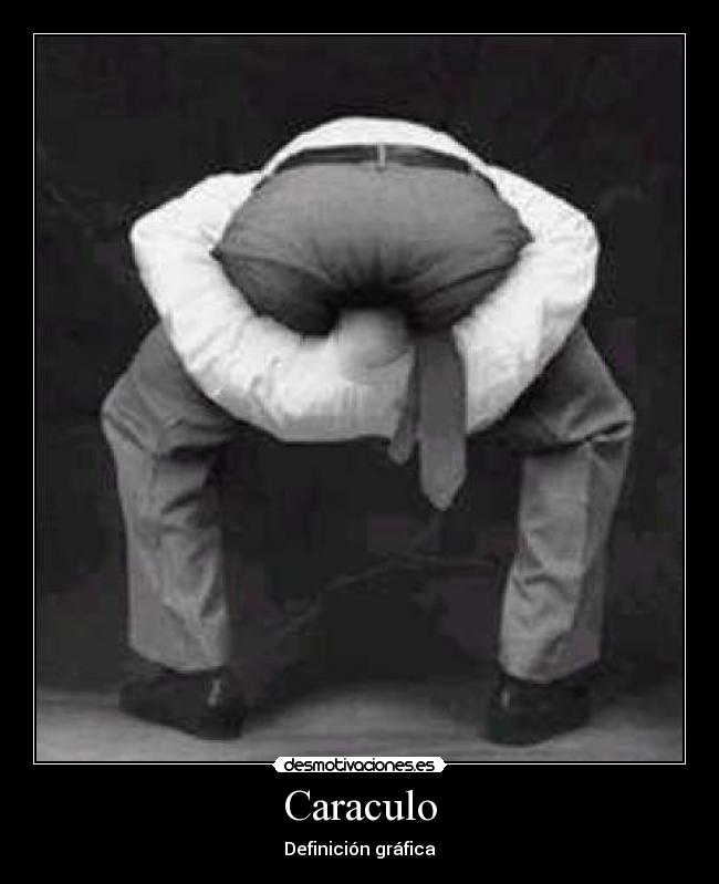 carteles cara culo pedo pis desmotivaciones