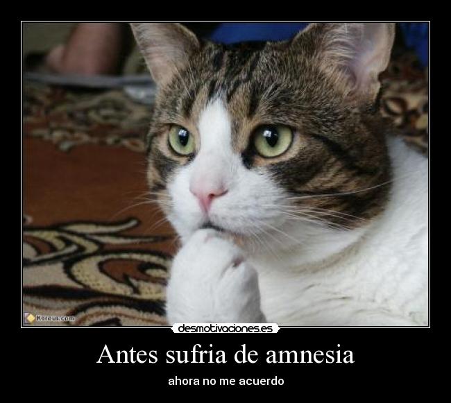 Antes sufria de amnesia - 