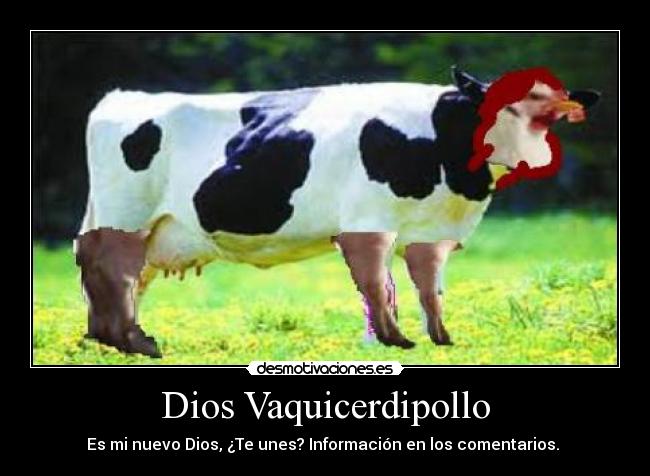 carteles dios vaquicerdipollo desmotivaciones