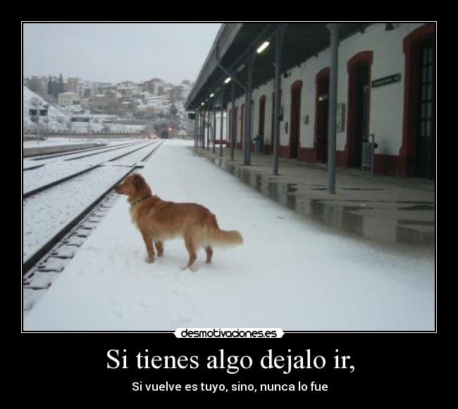 Si tienes algo dejalo ir, -