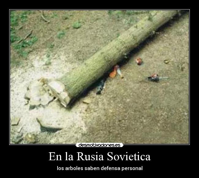 carteles humor arbol rusia sovietica desmotivaciones