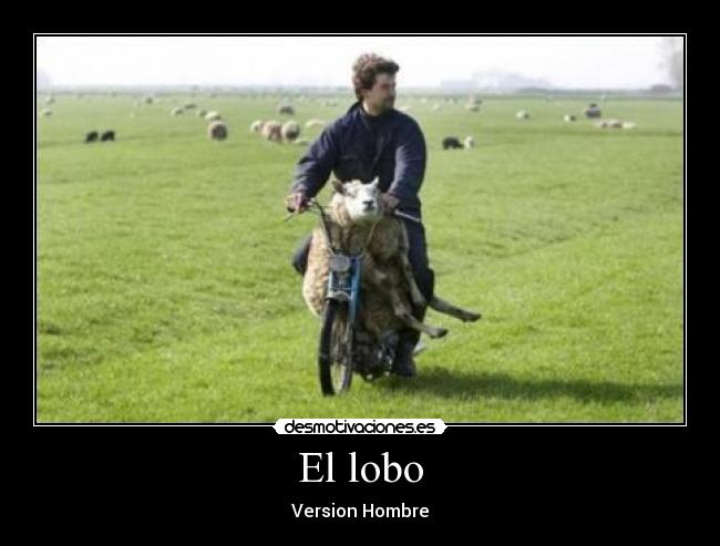 El lobo - Version Hombre