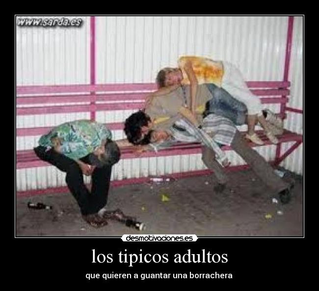 los tipicos adultos - que quieren a guantar una borrachera