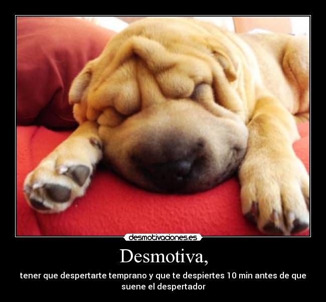 Desmotiva, - tener que despertarte temprano y que te despiertes 10 min antes de que
suene el despertador