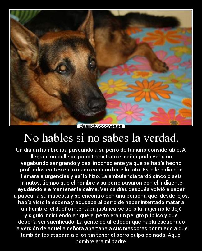 No hables si no sabes la verdad. - Un día un hombre iba paseando a su perro de tamaño considerable. Al
llegar a un callejón poco transitado el señor pudo ver a un
vagabundo sangrando y casi inconsciente ya que se había hecho
profundos cortes en la mano con una botella rota. Este le pidió que
llamara a urgencias y así lo hizo. La ambulancia tardó cinco o seis
minutos, tiempo que el hombre y su perro pasaron con el indigente
ayudándole a mantener la calma. Varios días después volvió a sacar
a pasear a su mascota y se encontró con una persona que, desde lejos,
había visto la escena y acusaba al perro de haber intentado matar a
un hombre, el dueño intentaba justificarse pero la mujer no le dejó
y siguió insistiendo en que el perro era un peligro público y que
debería ser sacrificado. La gente de alrededor que había escuchado
la versión de aquella señora apartaba a sus mascotas por miedo a que
también les atacara a ellos sin tener el perro culpa de nada. Aquel
hombre era mi padre.