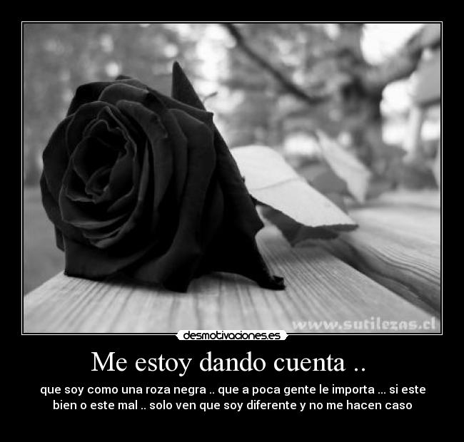 Me estoy dando cuenta .. - que soy como una roza negra .. que a poca gente le importa ... si este
bien o este mal .. solo ven que soy diferente y no me hacen caso