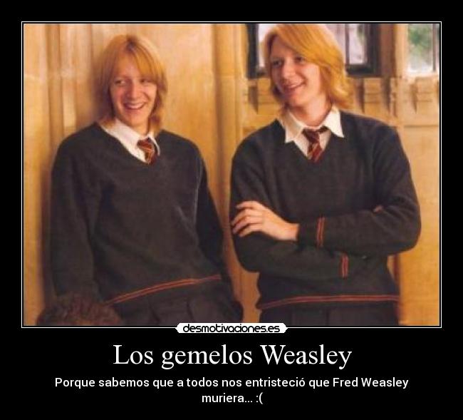 Los gemelos Weasley -
