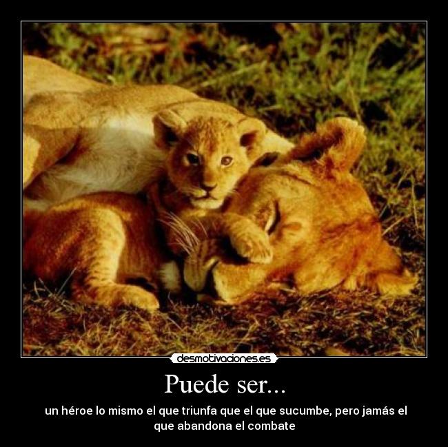 carteles heroe desmotivaciones