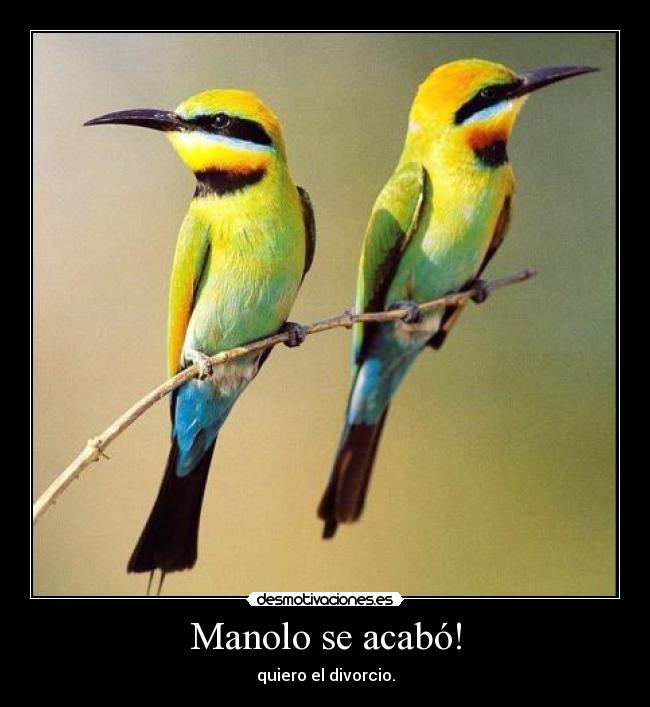 Manolo se acabó! - quiero el divorcio.
