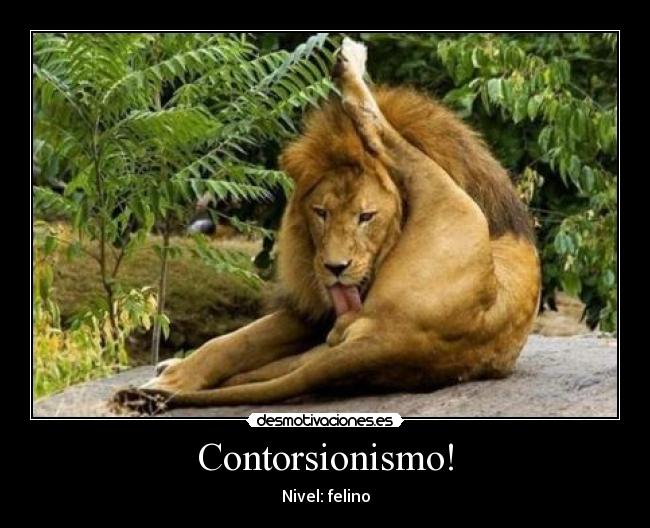 Contorsionismo! -