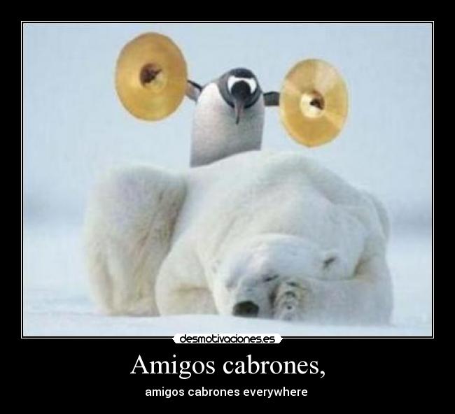 Amigos cabrones, -