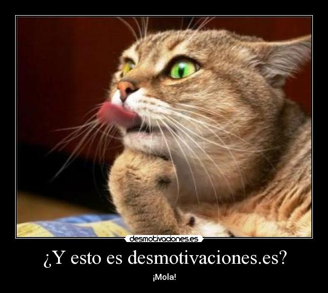 ¿Y esto es desmotivaciones.es? - 