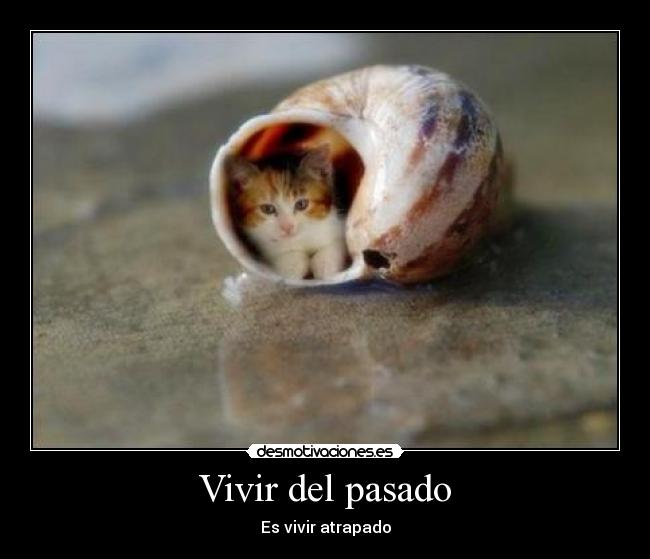 Vivir del pasado - 