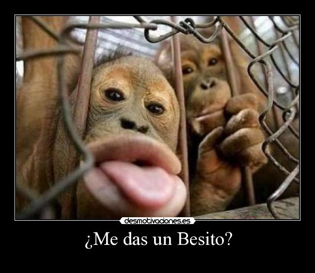 ¿Me das un Besito? -