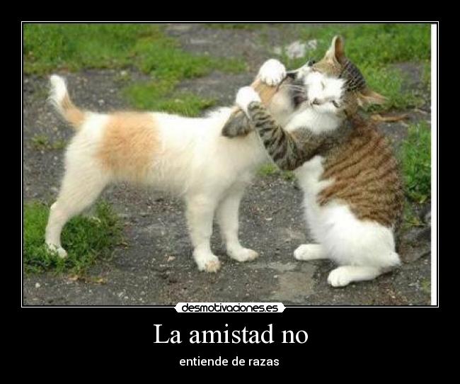 carteles amistad afdsf desmotivaciones