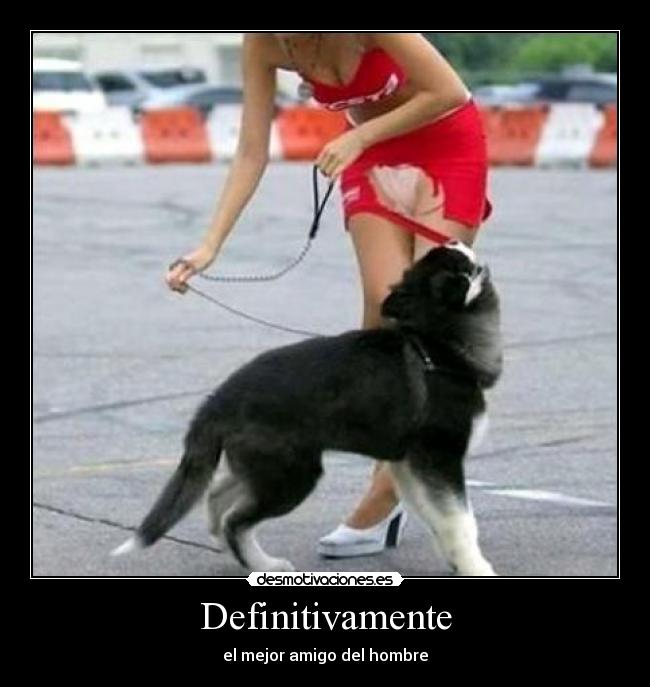 Definitivamente - el mejor amigo del hombre