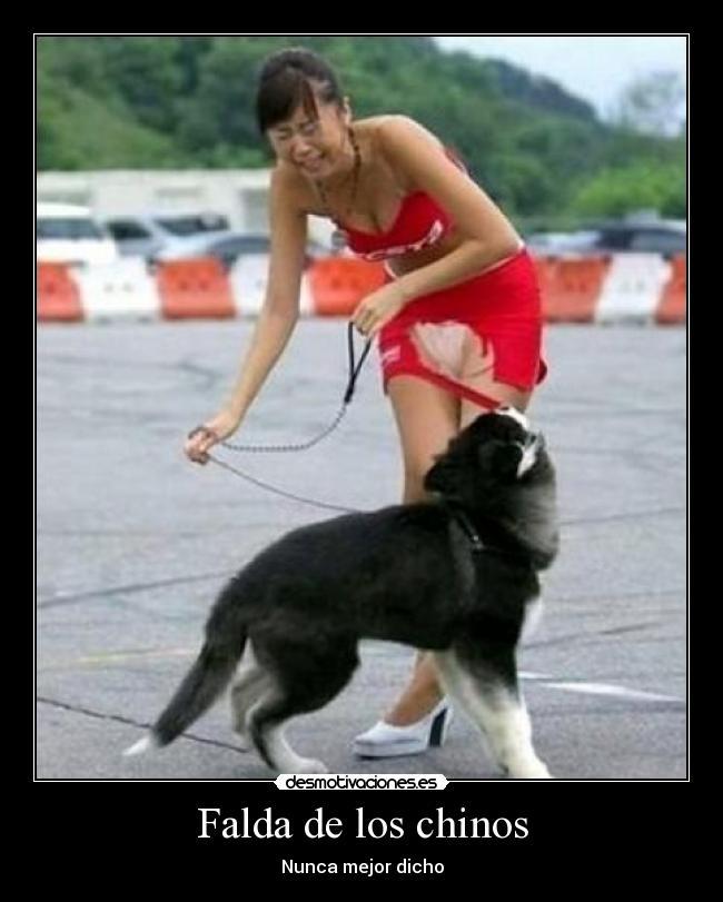 carteles dsfgt desmotivaciones