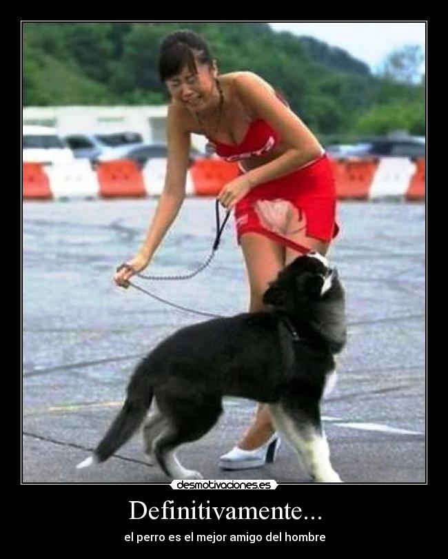 Definitivamente... - el perro es el mejor amigo del hombre