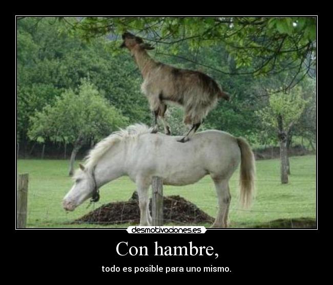 Con hambre, - todo es posible para uno mismo.
