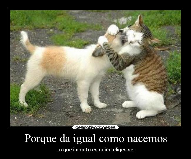 Porque da igual como nacemos -