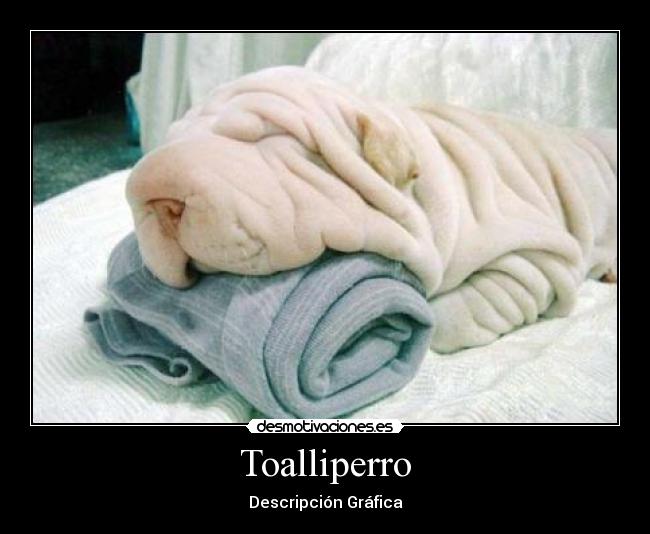 Toalliperro -