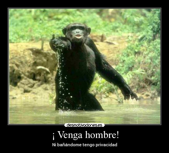 ¡ Venga hombre! - 