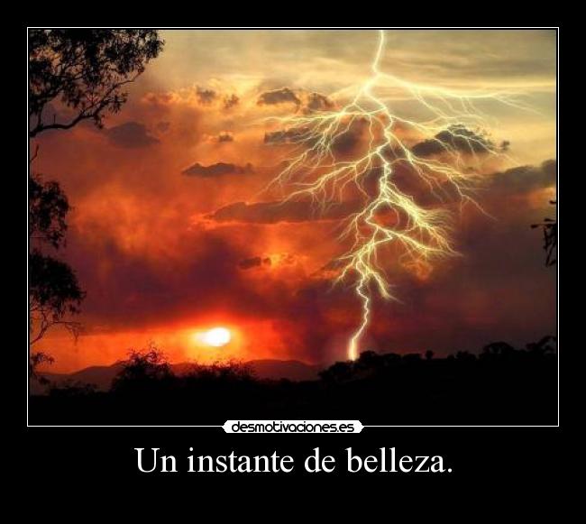 Un instante de belleza. -