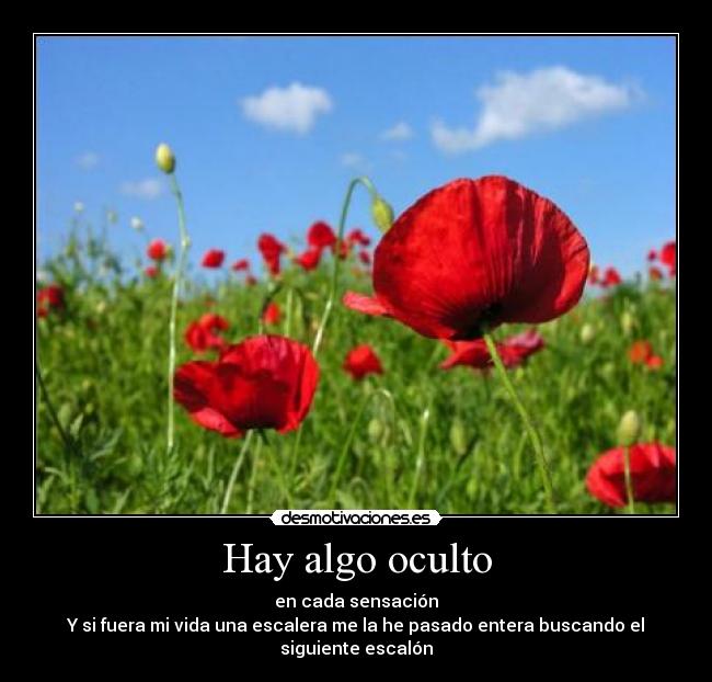 Hay algo oculto - 