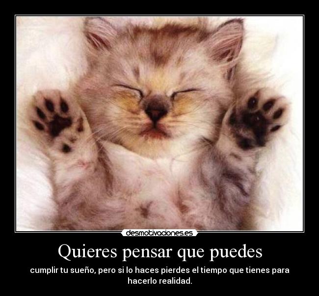 Quieres pensar que puedes - 