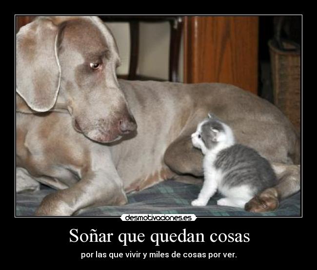 Soñar que quedan cosas -