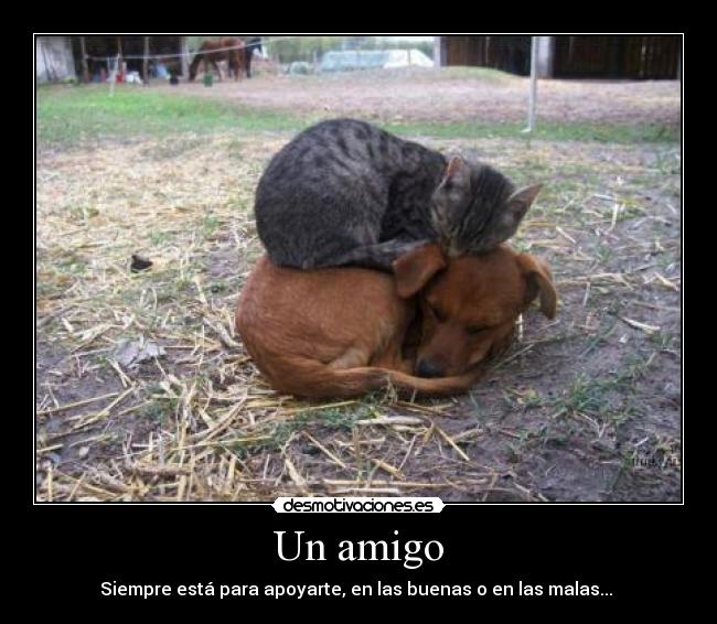 carteles laady rock desmotivaciones