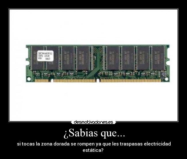 ¿Sabias que... - si tocas la zona dorada se rompen ya que les traspasas electricidad estática?
