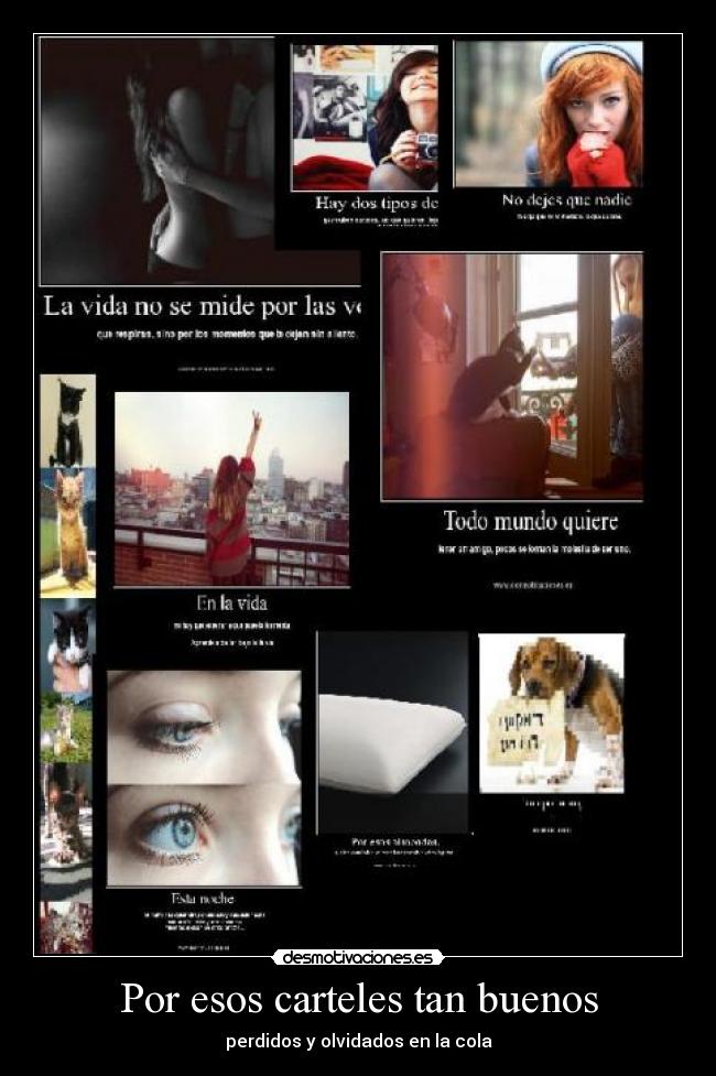 Por esos carteles tan buenos -