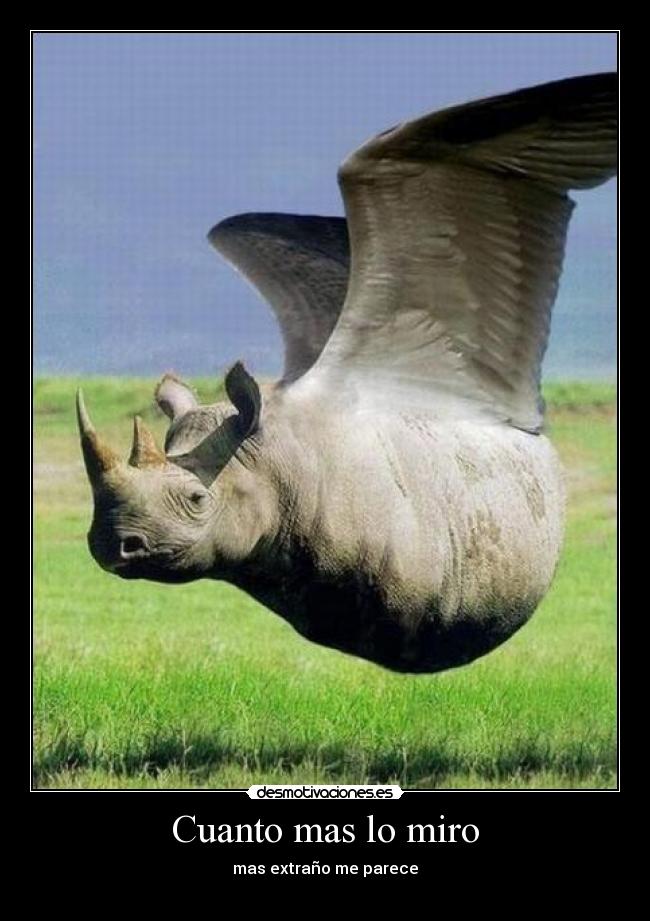 Cuanto mas lo miro -