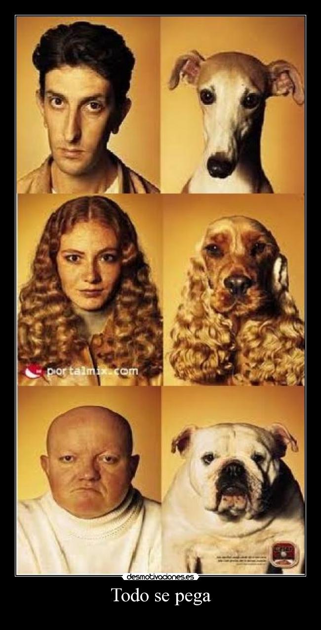Todo se pega - 