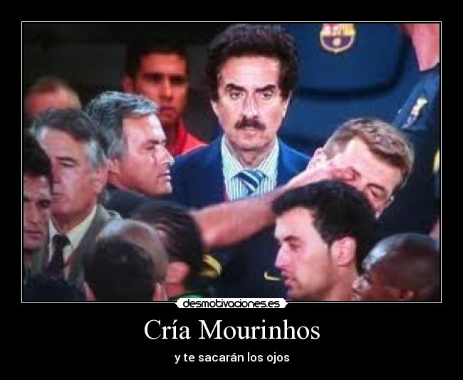 Cría Mourinhos -