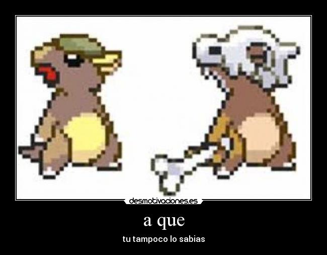 a que - tu tampoco lo sabias