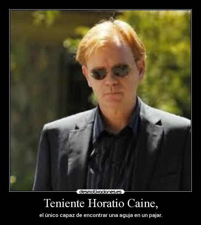 Teniente Horatio Caine, - el único capaz de encontrar una aguja en un pajar.