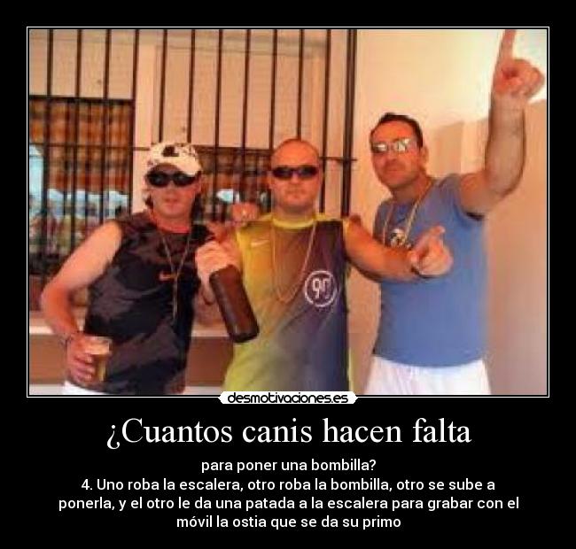 ¿Cuantos canis hacen falta -