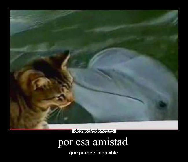 por esa amistad -