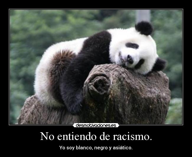 No entiendo de racismo. - Yo soy blanco, negro y asiático.