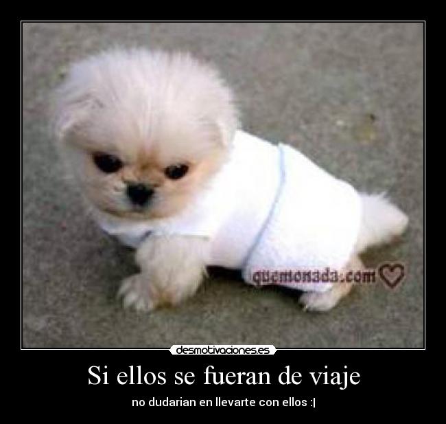 Si ellos se fueran de viaje - no dudarian en llevarte con ellos :|