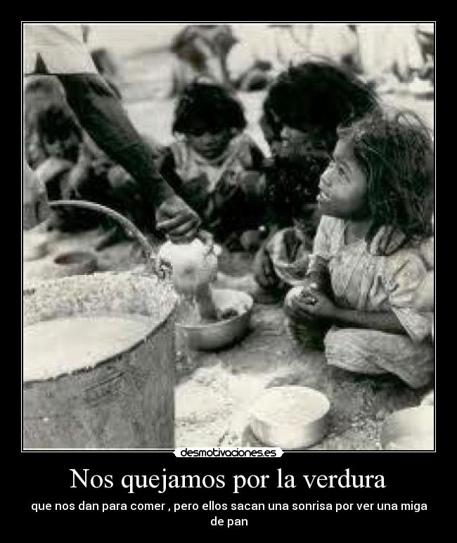 carteles nos quejamos por verdura que nos dan pero ellos sacan una sonrisa por ver una miga pan desmotivaciones