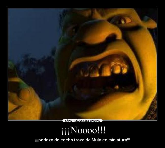 ¡¡¡Noooo!!! - 