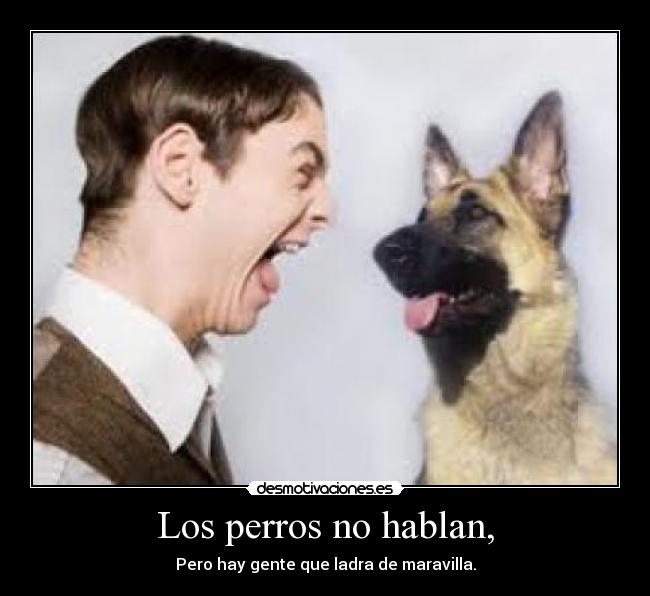 Los perros no hablan, Desmotivaciones Los perros no hablan, Desmotivaciones