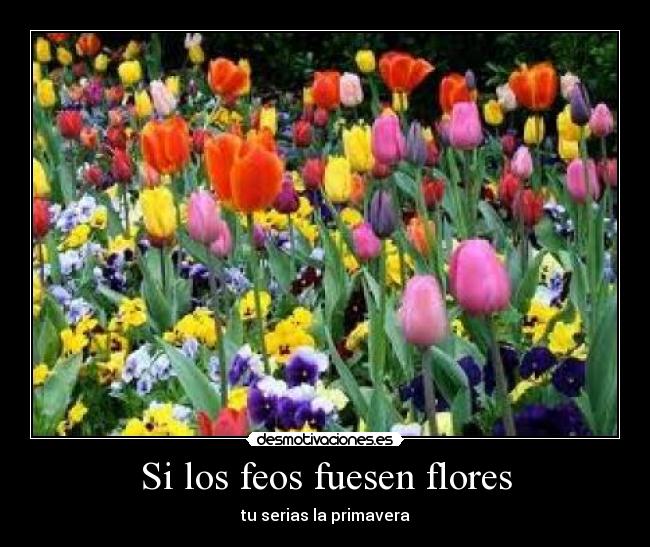 Si los feos fuesen flores - 