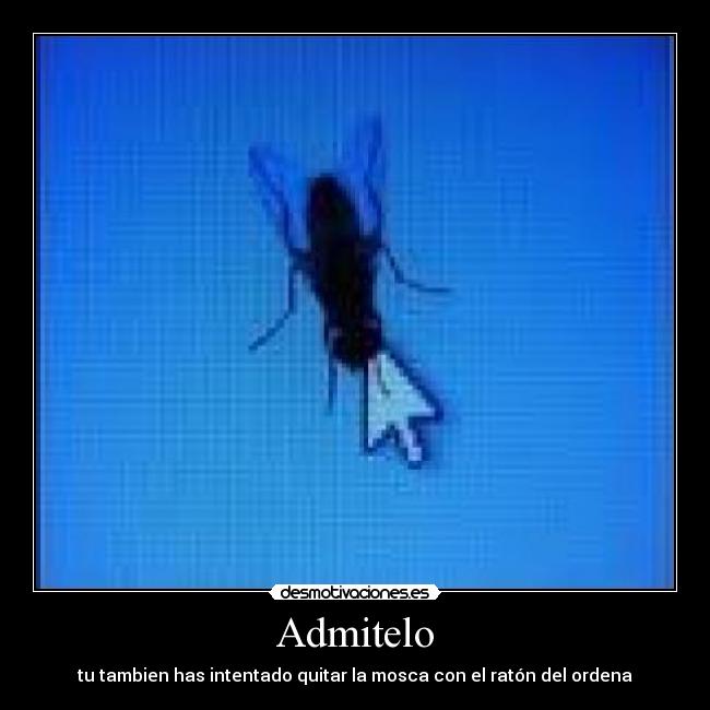 Admitelo - tu tambien has intentado quitar la mosca con el ratón del ordena